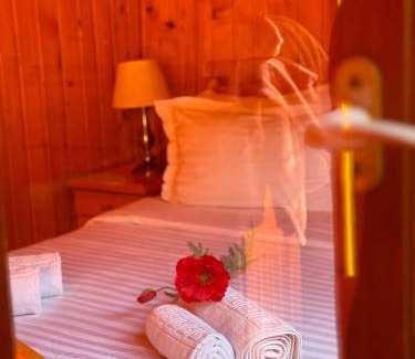 Vetel House | Cabana dintre Brazi