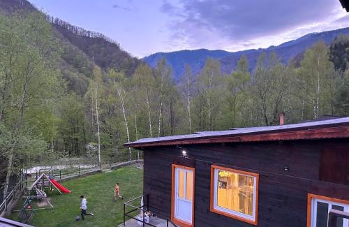 Riu de Mori House | Cabana Floare de stâncă Retezat cu Ciubar in pădure