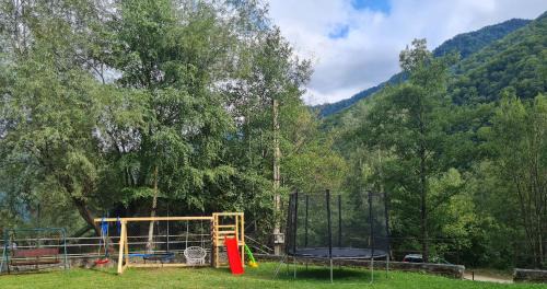 Riu de Mori House | Cabana Floare de stâncă Retezat cu Ciubar in pădure