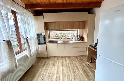 Salciua House | Cabana Ilinca