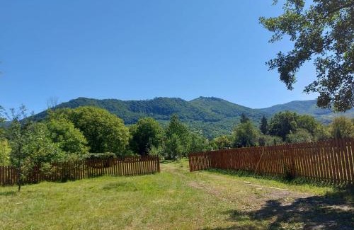 Deda Villa | Cabana Iris