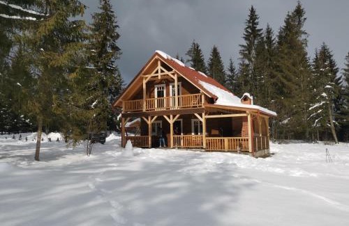 Joseni Villa | Cabana Katica vendégház