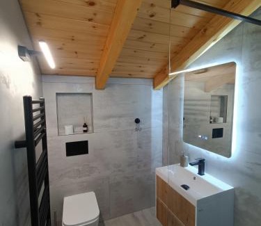 Sangeorz-Bai House | Cabana Liniștea Carpaților
