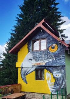 Petrosani House | Cabana Lucas