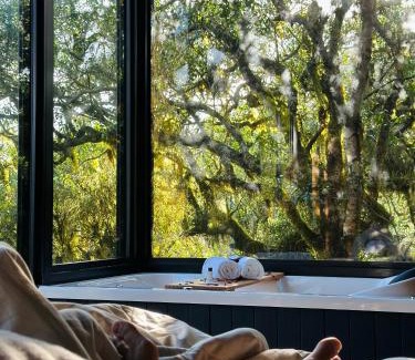 Sao Jose dos Ausentes Cabin | Cabana Pinus