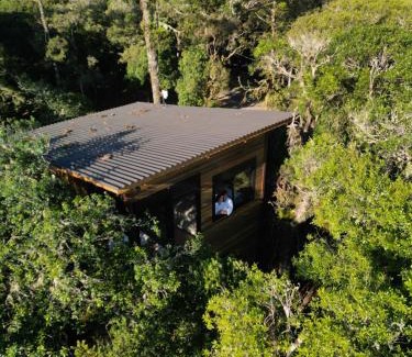 Sao Jose dos Ausentes Cabin | Cabana Pinus