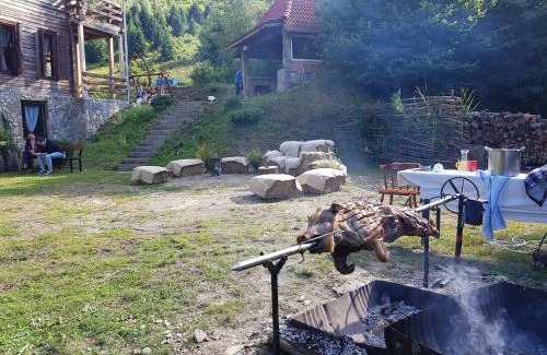 Malaiesti Cabin | Cabana Soarelui Retezat