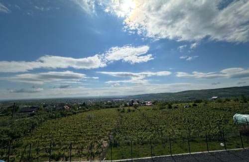 Husi Villa | Cabana Toscana