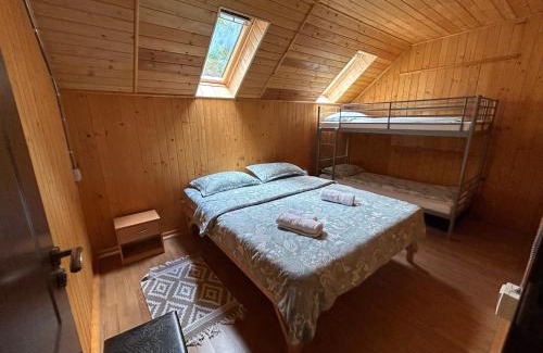 Budureasa House | Cabana Verde