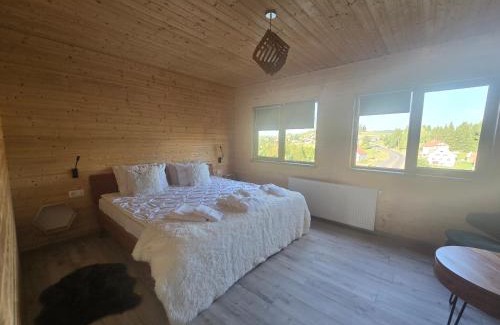Piatra Fantanele House | Cabane A-frame CeziAde Tihuta