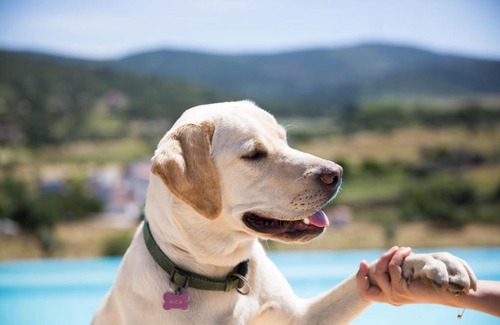 Portalegre House | Cabecas do Reguengo