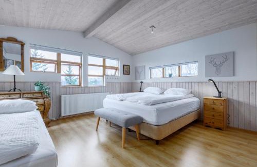 Blaskogabyggd House | Cabin Úthlíð - Birta Rentals