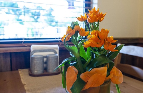 Waco House | Cabin 2 Rental 15 Minutes From Magnolia and Baylor