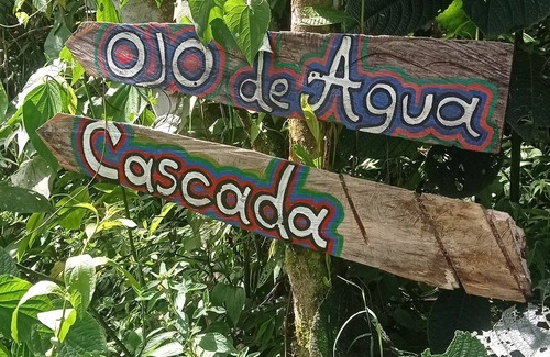 Salento Cabin | Cabin in the Salento cloud forest