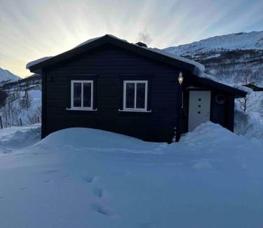 Odda House | Cabin in Valldalen, Røldal