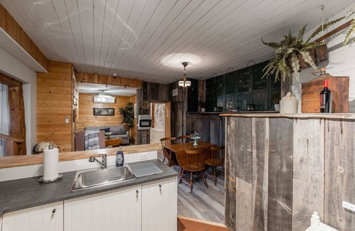 Rileyville Cabin | Cabin on River, Kayak, Hot Tub, WiFi, EV Charger!