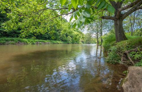 Lansing House | Cabin on the New River with Easy Steps to the River,Hot Tub, Fire Pit