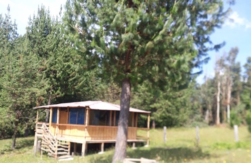 Arcabuco Cabin | cabin surrounded by nature
