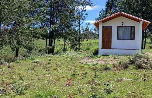 Arcabuco Cabin | cabin surrounded by nature