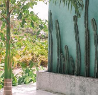 Pipa Hotel | Cactus Lodge Pipa