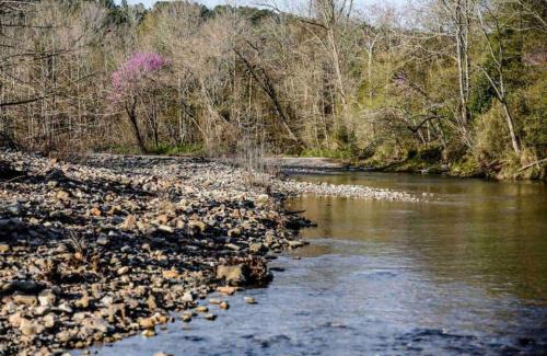 Norman House | Caddo Cabin on Collier Creek