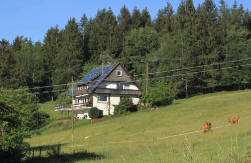 Muehlenbach House | Café Pension Pfaus Heidburg