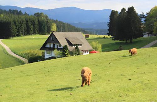 Muehlenbach House | Café Pension Pfaus Heidburg