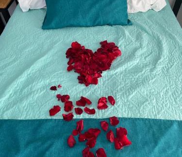 Lazaro Cardenas House | Calle Rio Danubio 106 D