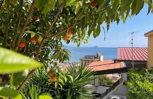 Laigueglia House | Calma e Relax in Laiugueglia, Mare e tranquillità