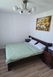 Oradea Villa | Camelia Residence