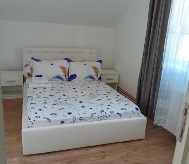 Copalnic-Manastur Cabin | Camera Toamnei