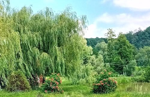 Copalnic-Manastur Cabin | Camera Toamnei