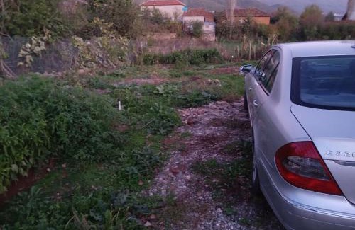 Diber Other | Campeggio2A