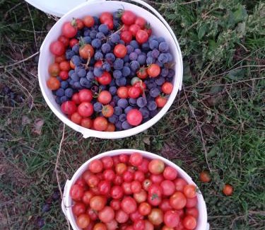 Diber Other | Campeggio2A