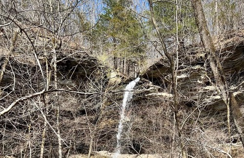 Elkins Cabin | Camping cabin with direct Mill Creek trail access!