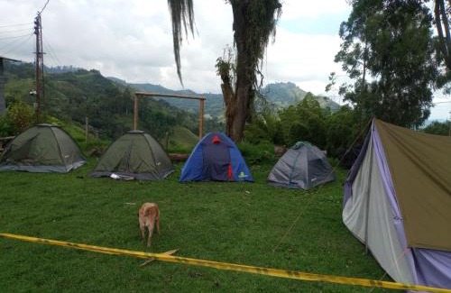 Villamaria Other | Camping Hostal Las Hamacas