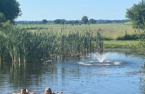 Ruinerwold Other | CAMPING PITCH with electricity bring you're OWN CARAVAN OR TENT