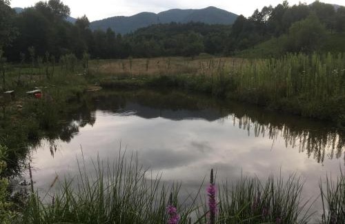 Sarmizegetusa Other | Camping Zamolxe