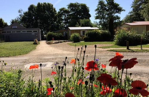 Belfort Ski Chalet | Campsite L'Etang des Forges* - Chalet Moréa PMR 2 rooms 3 people