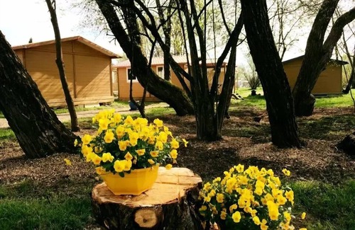 Belfort Ski Chalet | Campsite L'Etang des Forges* - Chalet Moréa PMR 2 rooms 3 people