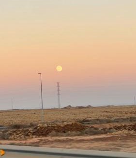 Guisguey House | Can Altavista