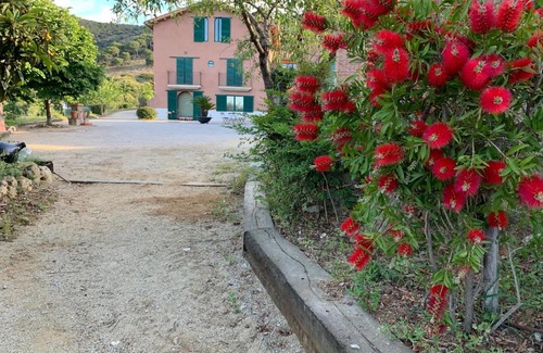 Tiana House | Can Ballús Bed&Breakfast