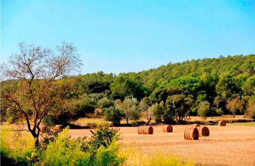 Sant Feliu de Boada Bed & Breakfast | Can Barrull-Costa Brava-Emporda