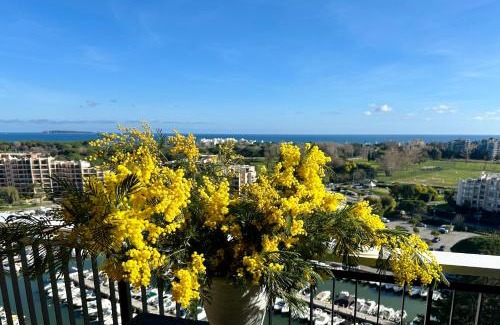 Mandelieu-La-Napoule Apartment | Cannes Marina Appart Hotel Mandelieu