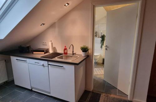 Neustadt-Lachen-Speyerdorf Apartment | Capa Ferienwohnung Pfalz