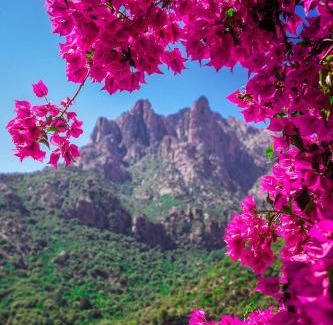 Porto Hotel | Capo D'orto - Porto - Corse