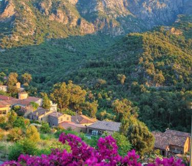 Porto Hotel | Capo D'orto - Porto - Corse