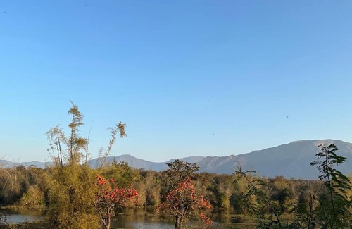 Masinagudi Bed & Breakfast | Captain's Cabin