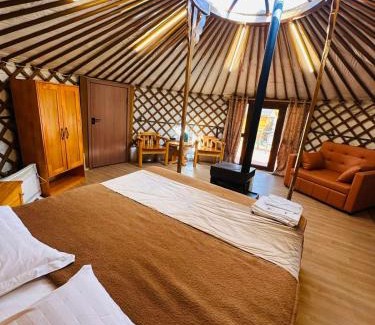 Hatgal Cabin | Captain tourist camp