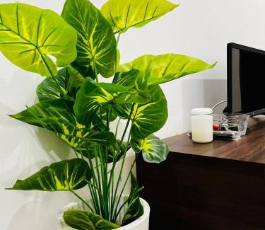 Gambang House | CaptStay